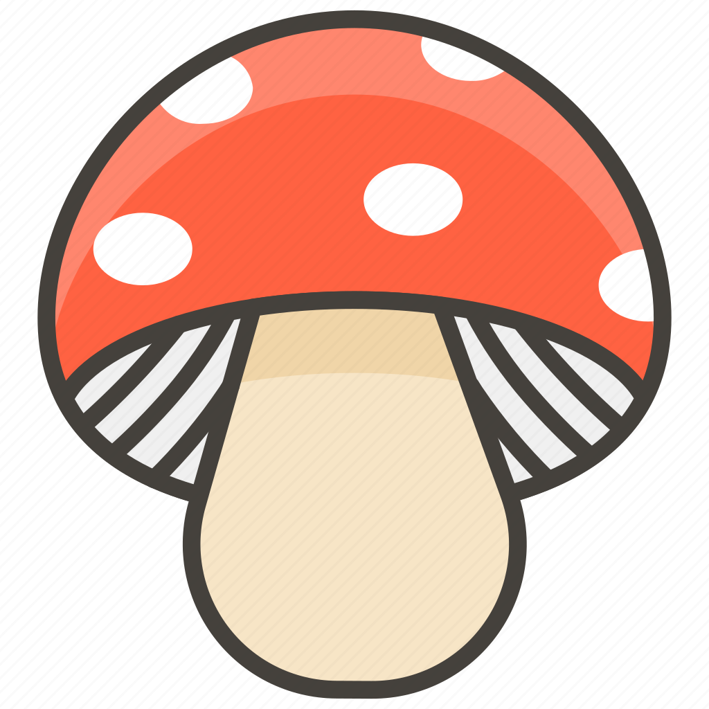 psilocibine cubensis